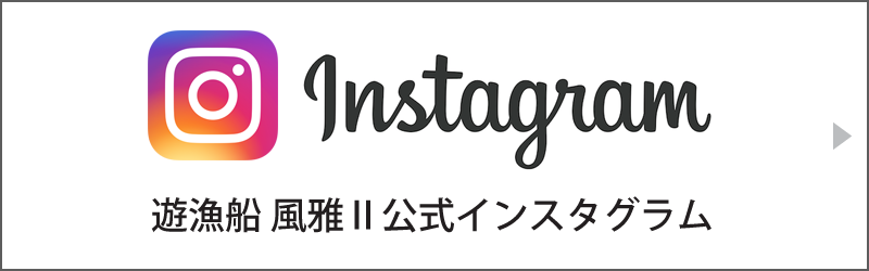 Instagram 風雅Ⅱ